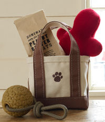 Last Minute Gift Giving: L.L. Bean