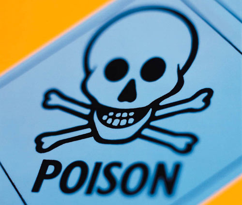 Ten Tips 'Til The Holiday: Antifreeze