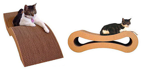 The Results Are in: Hottest Scratcher