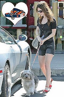 Sugar Shout Out: R-Bils Leash Love