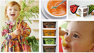 Ecotot: Homemade Baby Food