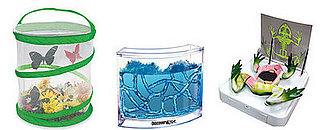 Toy Box: Toying With Nature