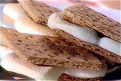 Lil Treasures: S'mores by Candlelight