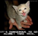 Too Dangerous