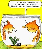 Bubbles Comic