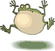 froggi999 froggi999