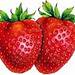 STRAWBERRIES OR GRAPES?