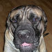 Sampson