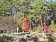 choctawbay