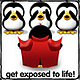 Penguin091507