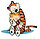 halfbakedjake's picture