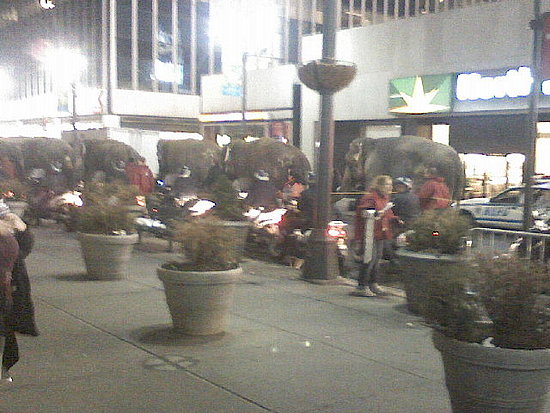 Circus at MSG