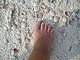 fatoosh31 fatoosh31
