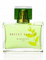 The Smell of Summer:  Hampton Sun Privet Bloom