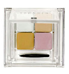 Cool Concealer Corrector Palettes