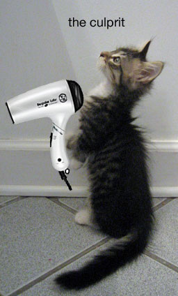 Beauty Mark It! Blow Dryers
