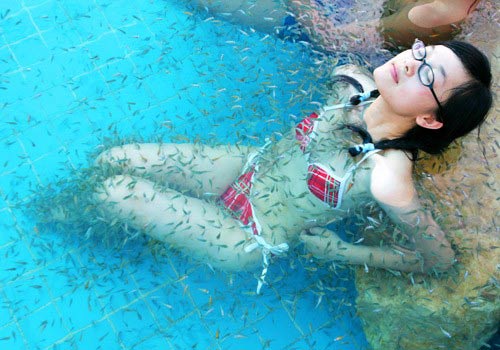 Something's Fishy in This Spa