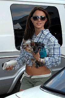 Britney's Hair Looks... Cute