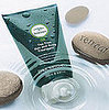 Tea Tree Oil Products, Part III:  Hair Care 