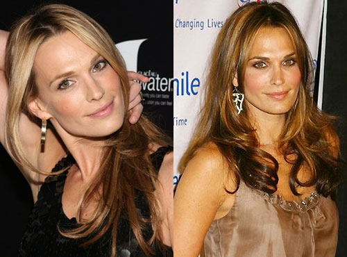 Do You Like Molly Sims Better as a Blonde or Brunette?