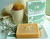 BellaSugar's Gift Guide: Nature Girl