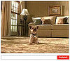 Website of the Day: I Do Dog Tricks