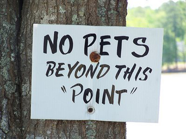 Website of the Day:  The "Blog" of "Unnecessary" Quotation Marks