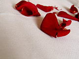 DIY Beauty: Roses