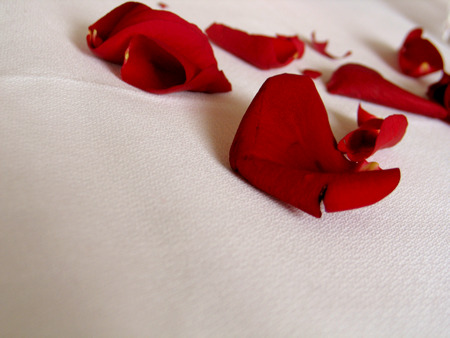 DIY Beauty: Roses