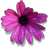Guenivere
