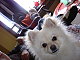 Rules Of Leisure Rules Of Leisure