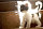 4evrfuzzy's picture