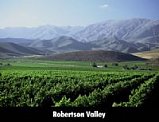 Robertson Winery