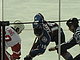 National Ice Hockey Lovers on Sugar