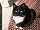 Amelie074's picture