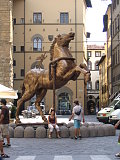 Florence