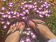 Pashion4Fashion's picture