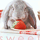katy_baby