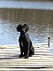 kayaker117's picture