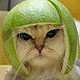 vlyndertje's picture