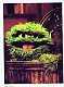 wickedcool wickedcool