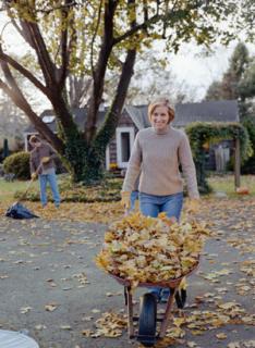 Get Your Home Ready for Fall