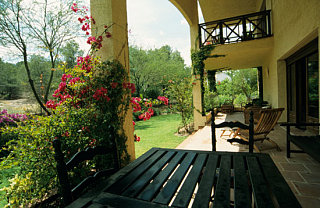 What Type of Outdoor Living Area Do You Have?