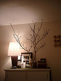 Su Casa: A Soft Touch of Nature