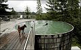 Midday Muse: A Tantalizing Tub
