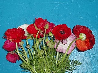 Flowers 101:  Ranunculus