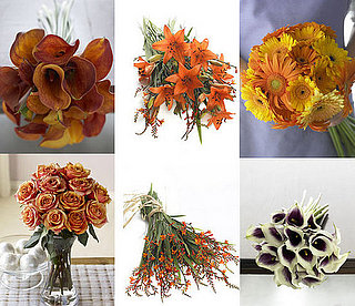 Organic Bouquet Quiz NOW OVER