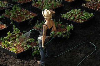 Cool Idea:  Edible Estates