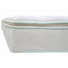 Do You Prefer Plush or Firm Mattresses?