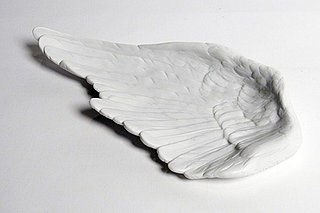 Love It or Hate It? Bird's Wing Dish